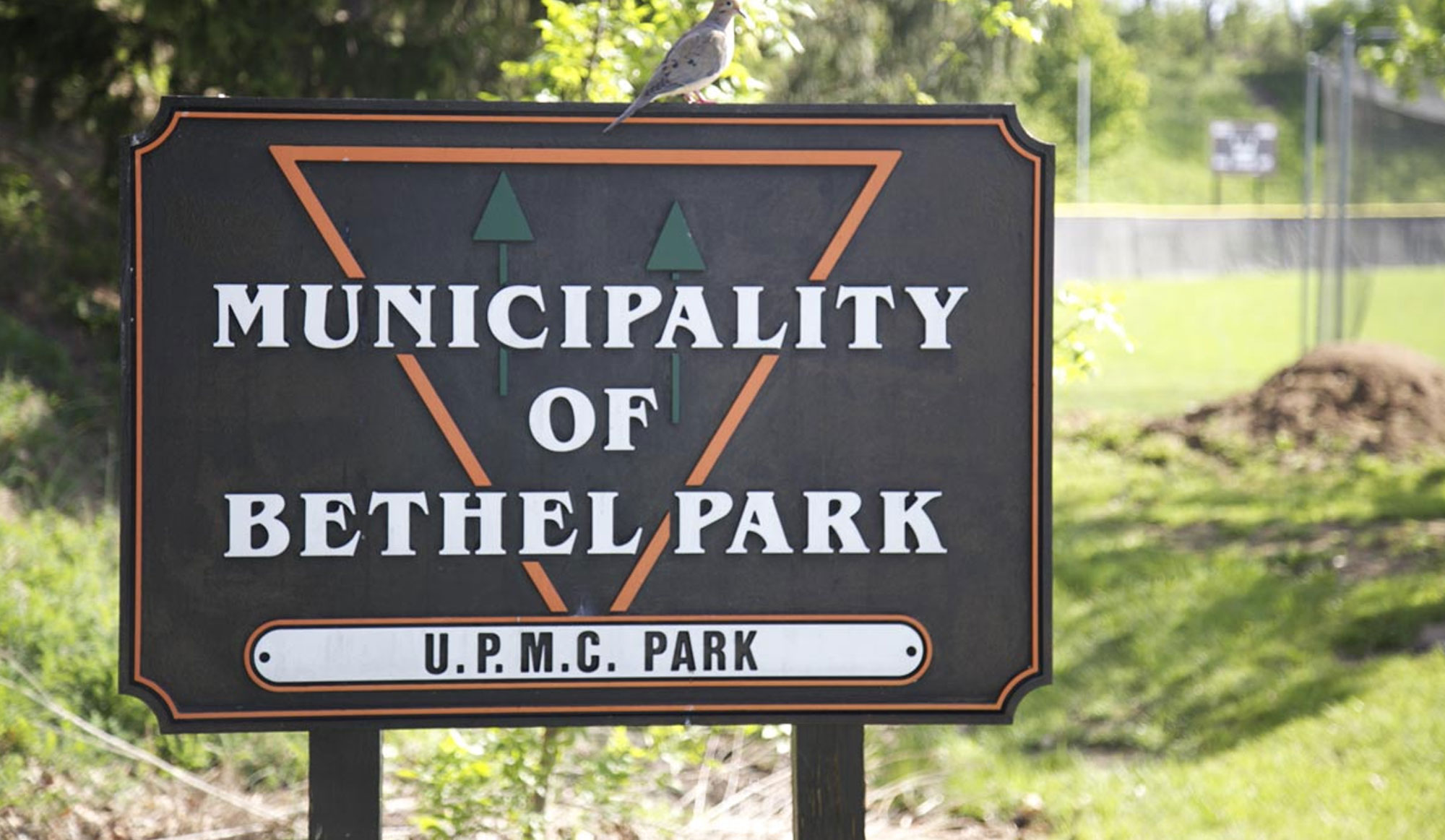 bethel park real estate