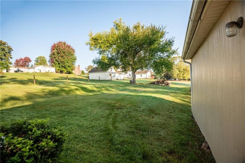 Side yard view