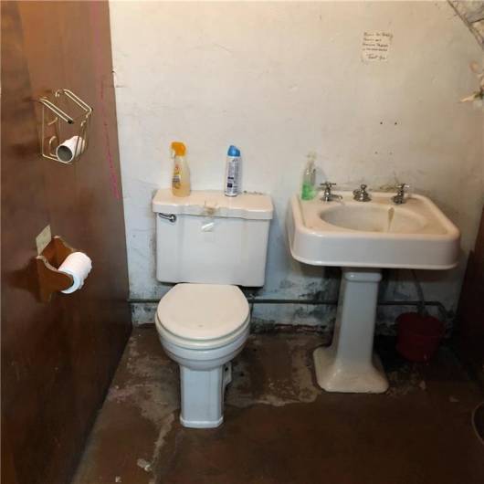 Basement Bathroom