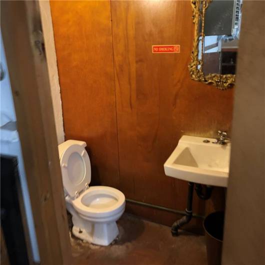 Basement Bathroom