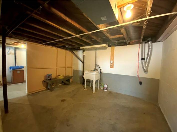 Laundry area in the basement