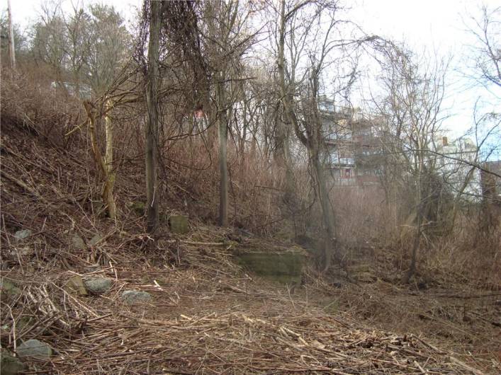 The Spring clearing of the overgrown brush, unveiled the foundation of a previous building.