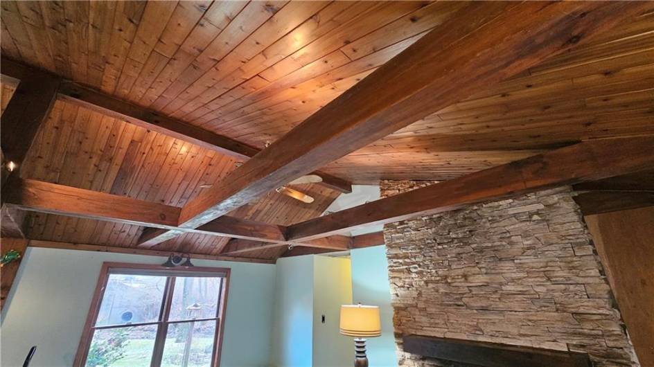 vaulted cedar ceiling