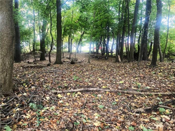 Wonderful picture of the natural beauty of the land. This photo is taken on W Sheridan with a view to the rear of the property which abuts the homes on Garfield