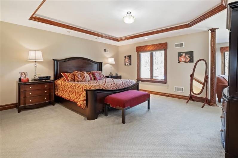 Large Master Bedroom with Cove Ceiling!