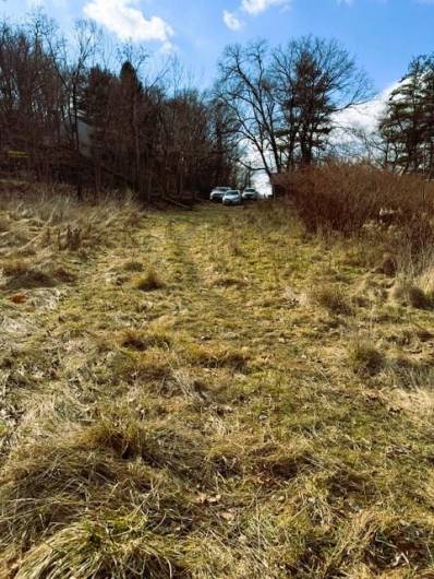 Parking area at the top of property with cleared area for easy access to walk the property.