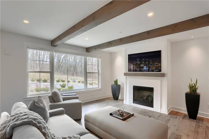 Natural light floods the family room and glistens on the wide plank hardwood flooring.