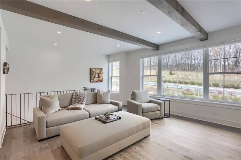 The family room over looks the two story foyer.