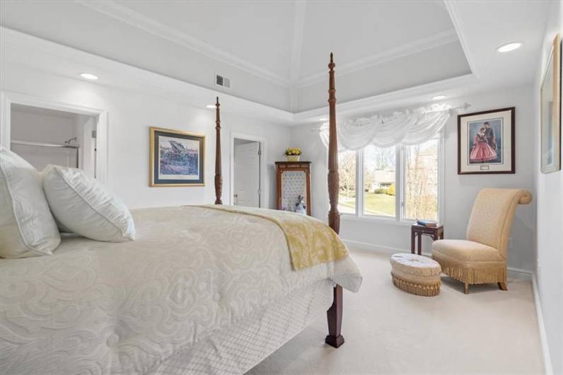 Appealing third bedroom with dramatic vaulted ceiling, crown moldings, large windows with custom blinds, recessed lighting, generous walk-in closet with custom built-ins.