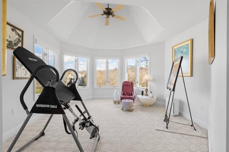 Lovely fourth bedroom with vaulted ceiling, ceiling fan, a wall of octagonal windows with custom blinds, sizable walk-in closet.