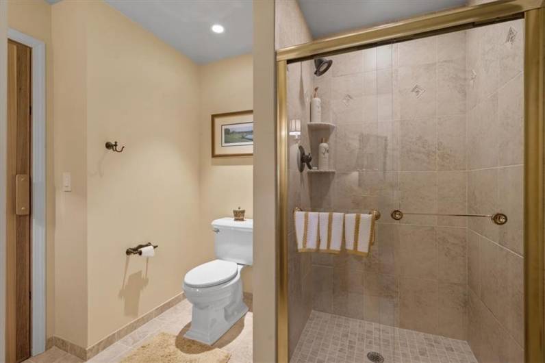 Lower-level bath with large custom vanity, glass enclosed tiled shower and relaxing sauna