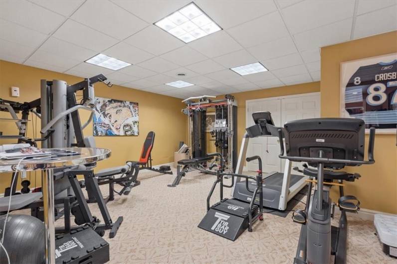 The lower level foyer gives access to the expansive gym.