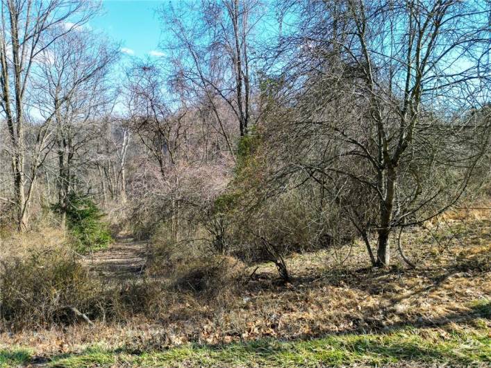 Some of the various trails on the property.