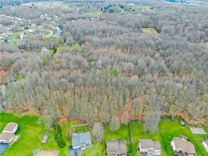 Houses at bottom of picture are on Greentree Circle. Houses in top left corner are in Neshannock Trails (Hidden Brooke Ct/Sequoia Dr.)