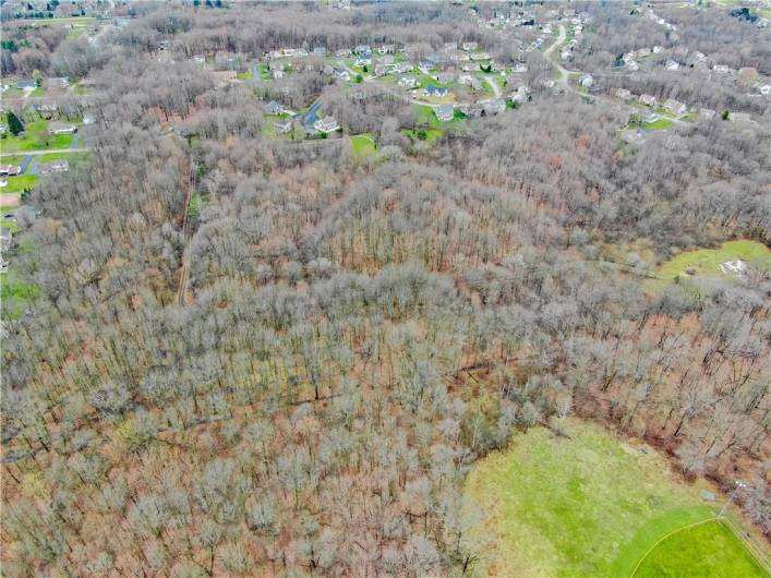 View from the other side of property - access is at the upper left side of photo (from Meadow Lane) and goes back to cleared area where house stood (right side of picture.) Neshannock trails (Hidden Brooke Ct/Sequoia Dr.) is at the top center of photo