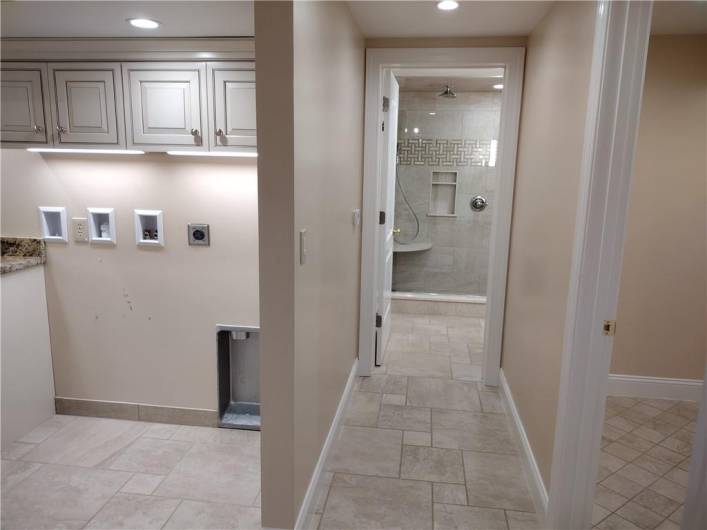 Lower-Level Bathroom
