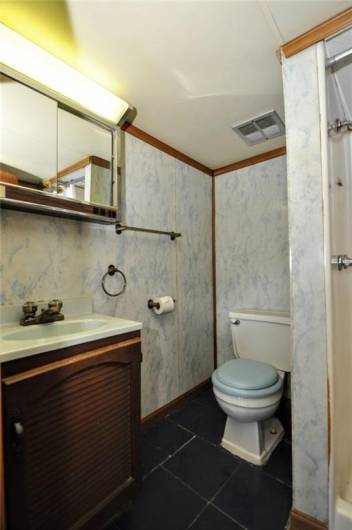 Lower level bathroom