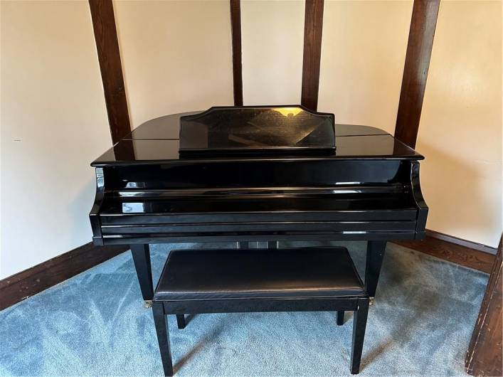 Enjoy your very own piano which is included in the sale