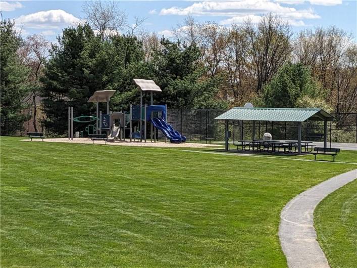 Community Picnic area and park