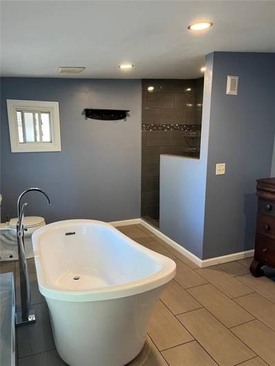 Bathroom with soaking tub and walk-in shower