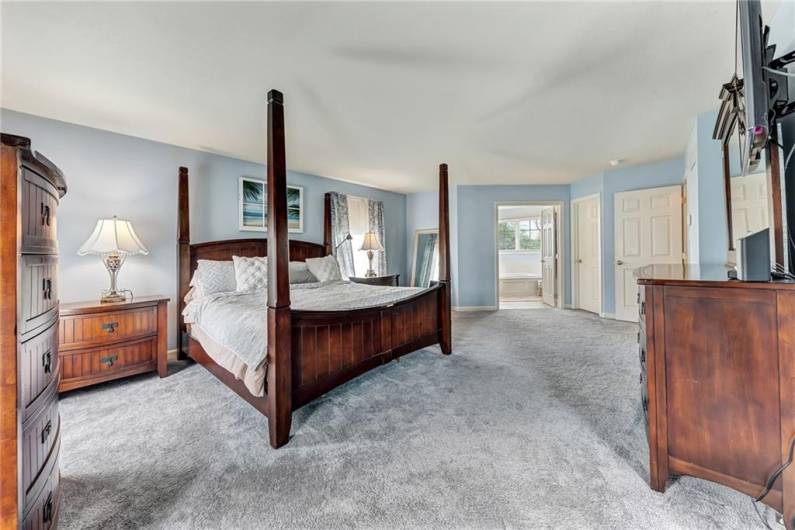 The master bedroom features a walk-in closet.