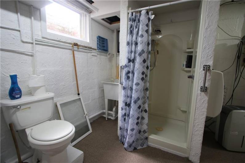 Basement Bathroom w/ Shower Stall