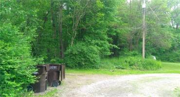Property is the wooded area beyond the garbage cans