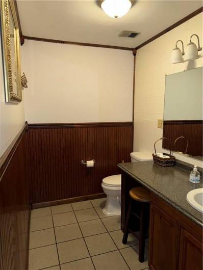 Lower level bathroom