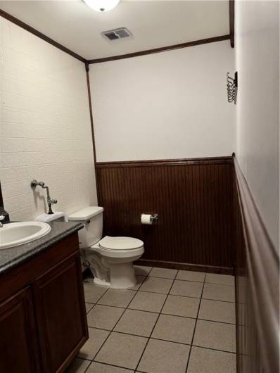 lower level bathroom