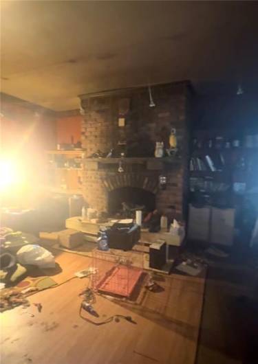 liv rm fireplace