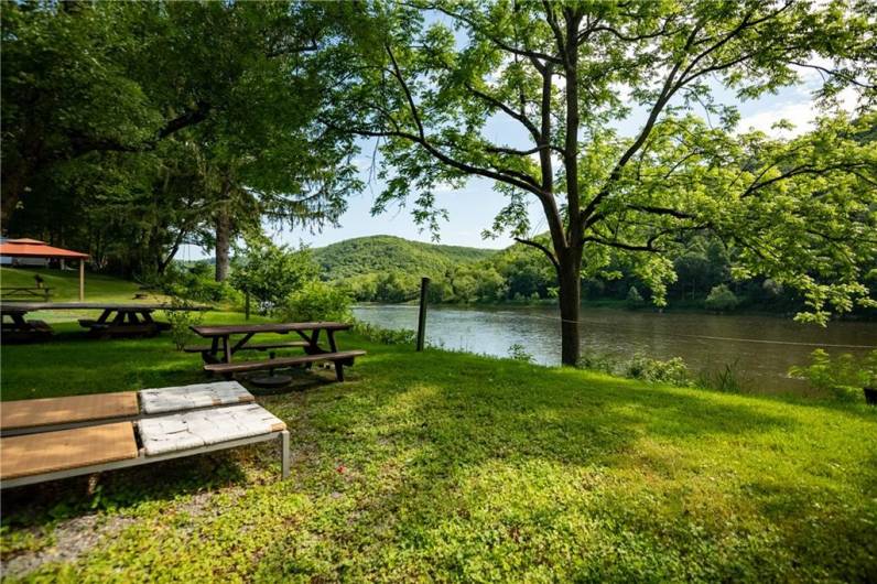 Picnic, campgrounds