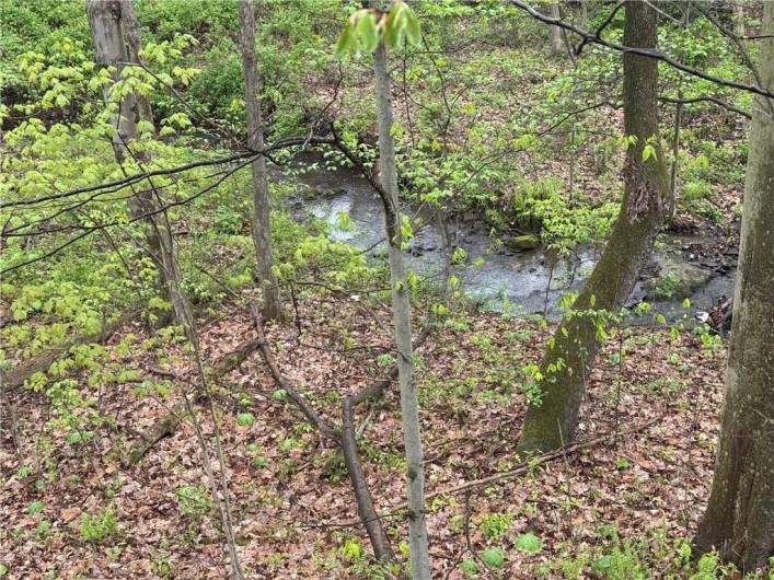 Stream in back of property