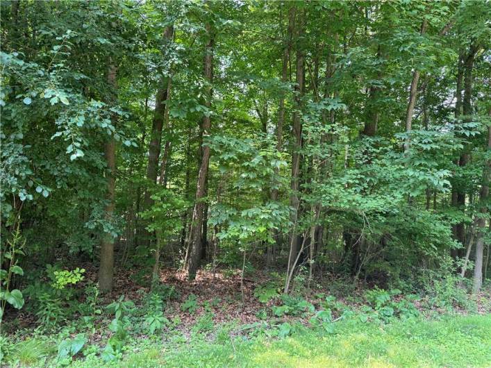 Front at road 1 A property.