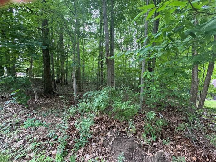 A lovely lot 105 feet frontage, 281 ft depth