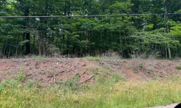 0000 Kemerer Hollow Road, Export, PA 15632, ,Farm-acreage-lot,For Sale,Kemerer Hollow Road,1659821