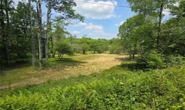 Lot Watters Station Rd, Evans City, PA 16033, ,Farm-acreage-lot,For Sale,Watters Station Rd,1660039