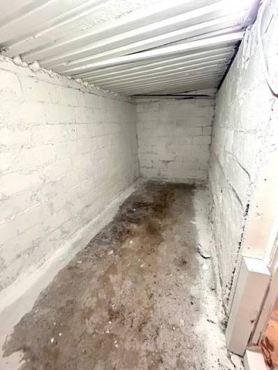 Root Cellar