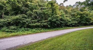 #17 LOT TIMERLAND DR