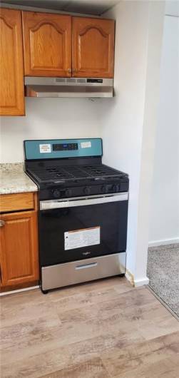 New countertop, sink, faucet, Stainless Steel range and hood fan. New plank vinyl flooring.