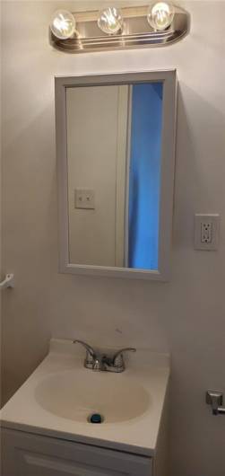 New vanity, faucet & light fixture. New vinyl plank flooring.