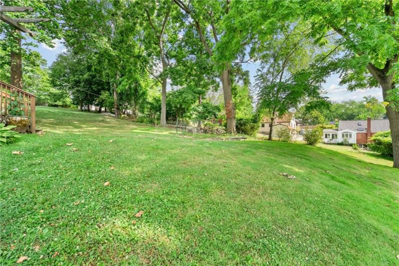 view of backyard from the house