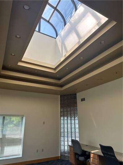 Amazing natural lighting provided with skylights, indirect lighting