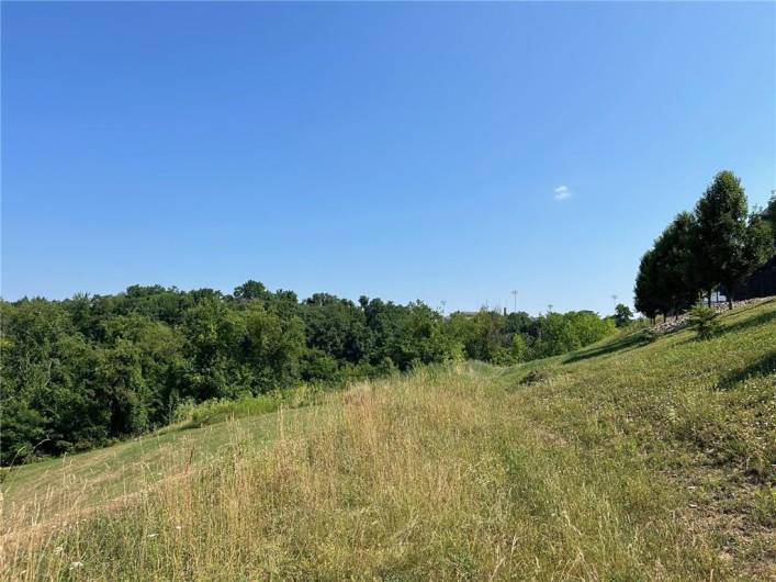 Wooded view