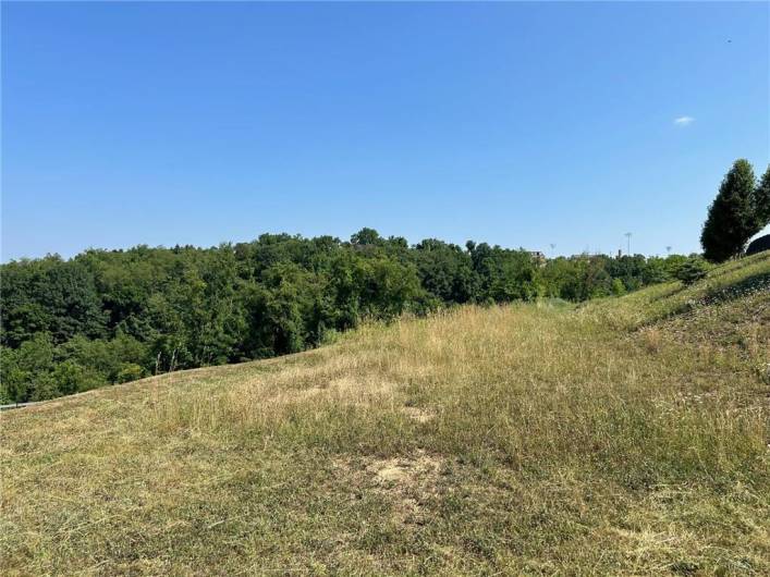 Wooded view