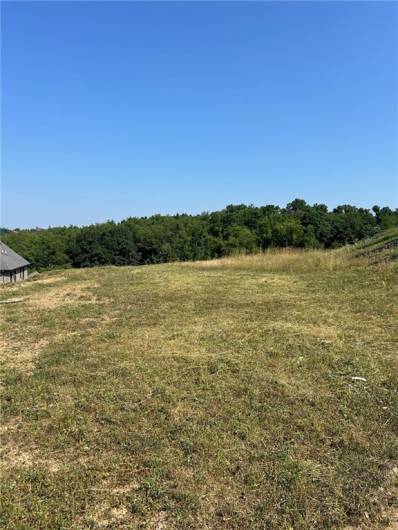 4010 Shenandoah Dr, Jefferson Hills, PA 15025, ,Farm-acreage-lot,For Sale,Shenandoah Dr,1663583