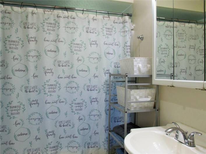Full Bathroom is on the main floor...