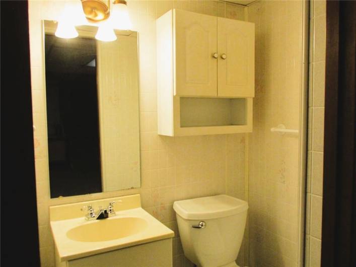 Convenient half bathroom on lower level...