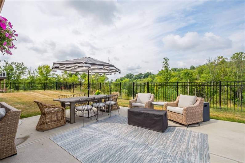 Awesome patio and full fenced in yard.