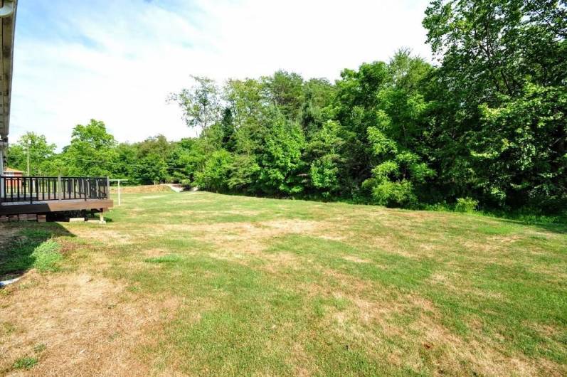 The backyard slopes down to a trickling creek.