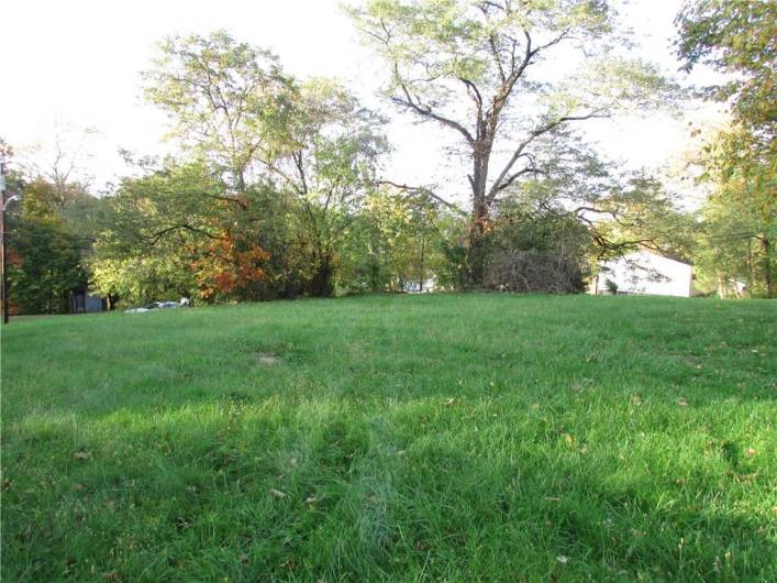 Vacant lot 301 Oak Ave. Elizabeth Twp. PA 15037